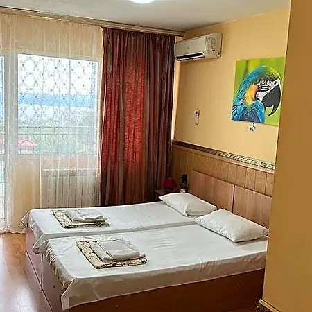 Hayat Ltd 3* Warna
